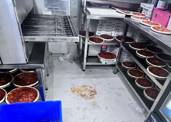 અમદાવાદમાં ભેળસેળ-નકલી વસ્તુઓનો ધીકતો વેપાર છતાં 22000માંથી ફક્ત 39 ફૂડ સેમ્પલ ‘અનસેફ’ | Only 39 out of 22 000 food samples unsafe in Ahmedabad