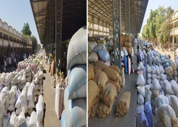 જામનગરના હાપા માર્કેટ યાર્ડમાં ઐતિહાસિક 17,000 ગુણી જીરુંની આવક, વાહનોના લાગ્યા થપ્પા | Historic cumin revenue at Hapa Market Yard in Jamnagar