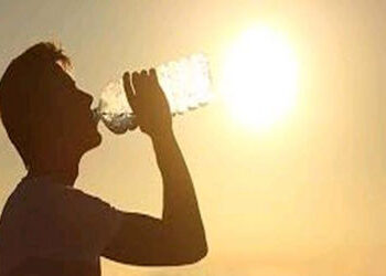 ગરમી-લૂને કારણે દેશભરમાં 10 વર્ષમાં 10,635 લોકોના મોત, 2024 સૌથી ગરમ વર્ષ રહ્યું | heat wave 10635 deaths