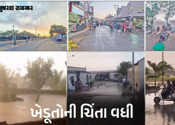 ભુજમાં વાતાવરણમાં અણધાર્યો પલટો: કમોસમી વરસાદના લીધે કેરીના પાકને નુકસાનની ભીતિ | Farmers worried du…