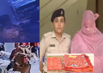 અમદાવાદમાં શૉ-રૂમના ઉદ્ધાટનના દિવસે જ ચોરી, મહિલા મોંઘાભાવના બે પટોળા ઉઠાવી ગઈ | Woman steals Patola…