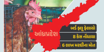 દેશના આ રાજ્યમાં બર્ડ ફ્લૂથી હાહાકાર, 8 કેસ સામે આવ્યા, 6 લાખ મરઘીના મોત | Bird Flu 8 Cases Reported…