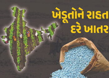 ખેડૂતોના હિતમાં કેબિનેટનો મોટો નિર્ણય, હવે સસ્તા દરે મળશે ખાતર, જાણો કેટલા રૂપિયા કર્યા મંજૂર