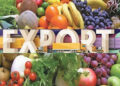 પાંચ વર્ષમાં ફળોની નિકાસમાં 47 ટકાનો નોંધપાત્ર વધારો | Significant increase of 47% in fruit exports …