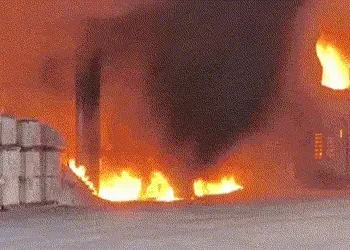 વડોદરામાં વહેલી સવારે GIDCની કંપનીમાં લાગી આગ, ભારે નુકસાનની આશંકા | Vadodara Fire Breaks Out in GID…