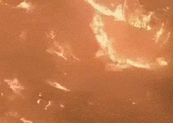 માઉન્ટ આબુના જંગલોમાં ભીષણ આગ, 100 હેક્ટર વિસ્તાર આગની ઝપેટમાં, એરફોર્સ-વન વિભાગની ટીમ લાગી કામે