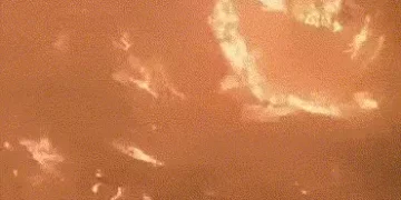 માઉન્ટ આબુના જંગલોમાં ભીષણ આગ, 100 હેક્ટર વિસ્તાર આગની ઝપેટમાં, એરફોર્સ-વન વિભાગની ટીમ લાગી કામે | r…