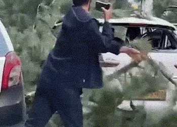 હિમાચલના કુલ્લૂમાં મોટી દુર્ઘટના: પર્વત પરથી વૃક્ષ ગાડીઓ પર પડ્યું, છના મોત