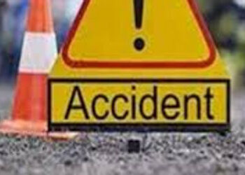 નવરાત્રિમાં પાવાગઢ દર્શન કરવા જતી યુવતી બાઇક પરથી પટકાતા મોત | A girl died after falling from the bi…