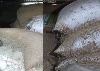 વડોદરામાં પુરવઠા વિભાગની ગંભીર બેદરકારી, હજારો કિલો ખાંડ-અનાજનો જથ્થો સડી ગયો | Thousands of kilos o…