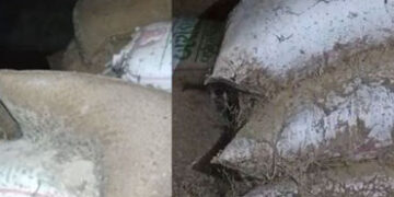 વડોદરામાં પુરવઠા વિભાગની ગંભીર બેદરકારી, હજારો કિલો ખાંડ-અનાજનો જથ્થો સડી ગયો | Thousands of kilos o…