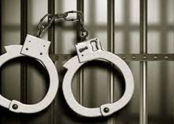 આપઘાત કરવા યુવકે સોડિયમ નાઇટ્રેટ ઓનલાઇન મંગાવ્યુ હતું | The young man ordered sodium nitrate online …