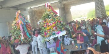 सियावा के गणगौर मेले में आदिवासियों ने उत्साह के साथ लियाभाग