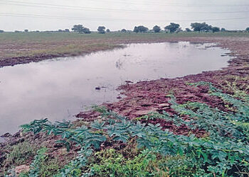 લીંબડીના વનાળા ગામ તરફ આવેલી માઈનોર કેનાલ જર્જરિત | The minor canal towards Vanala village in Limbdi…