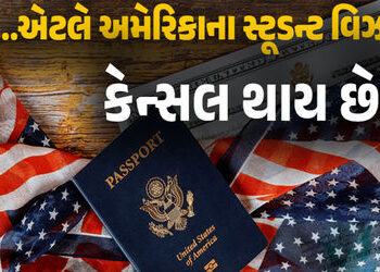 અમેરિકામાં અભ્યાસ કરતા આણંદના 1,180 વિદ્યાર્થીના ભાવિ સામે જોખમ | The future of 1180 Anand students …