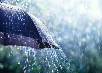 ડાંગમાં કમોસમી વરસાદથી ખેડૂતોની ચિંતા વધી, દક્ષિણ ગુજરાતમાં વરસાદની આગાહી | gujarat farmer worried a…