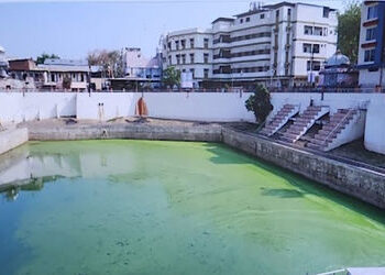 વડોદરા સિધ્ધનાથ તળાવમાં ફરી લીલ જામી જતા ગંદકીનું સામ્રાજ્ય | Siddhanth Lake in Vadodara turns green…