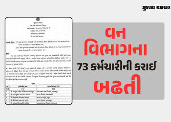 પોલીસ બાદ વન-પર્યાવરણ વિભાગમાં બઢતીનો આદેશ, રાજ્યના 73 કર્મચારીઓને પ્રમોશન | 73 employees of Gujarat…