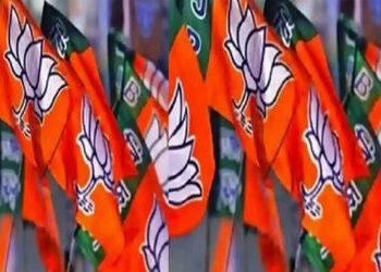ભાજપમાં જૂથવાદ : કેવળ પક્ષને જ નહીં, ભાવનગરને પણ નુકસાન | Factionalism in BJP: Not only the party bu…