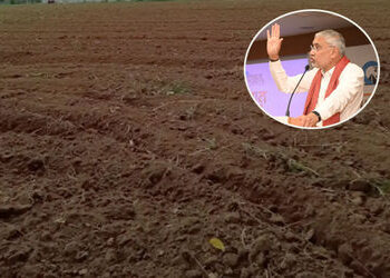 અમદાવાદની રબારી વસાહતોના 1,100 જેટલા માલધારી પરિવારોને રાહત, જમીનનો કાયમી માલિકી હક મળશે | Big relie…