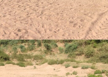 મહી નદીના ઊંડા ખાડામાં યુવાન ડૂબ્યા બાદ મશીનરી લઇ રેતી માફિયા ફરાર | Sand mining stopped after youth…