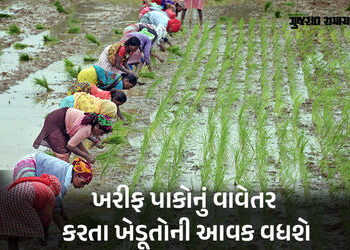 ગુજરાતના ખેડૂતો માટે રાહતના સમાચાર: સિંચાઈ માટે એક મહિનો વહેલું પાણી મળશે, 13 લાખ ધરતીપુત્રોને મળશે …