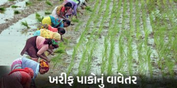 ગુજરાતના ખેડૂતો માટે રાહતના સમાચાર: સિંચાઈ માટે એક મહિનો વહેલું પાણી મળશે, 13 લાખ ધરતીપુત્રોને મળશે …