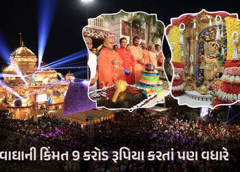 સાળંગપુરમાં ઉજવાયો ભવ્ય હનુમાન જન્મોત્સવ, દાદાએ સુવર્ણ વાઘામાં ભક્તોને આપ્યા દર્શન | Hanuman Janmots…