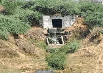 વડોદરાની વિરાસત સમાન વિશ્વામિત્રી નદીને ચોખ્ખી કરવાના નામે કરોડોનો ધુમાડો : NGT, GPCBની નોટિસોને અવગ…
