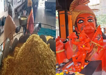 હનુમાનજીને ધરાવાયો 6 હજાર કિલોનો મહાકાય લાડુ, સુરતમાં પવનપુત્રનો જન્મોત્સવ ઉજવાયો | 6 000 kg laddu w…