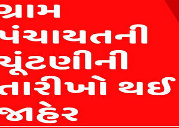 આણંદ જિલ્લામાં 159 ગ્રામ પંચાયતોની ચૂંટણી મે મહિનાના અંતમાં યોજાવાની સંભાવના | Elections to 159 Gram…