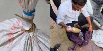 બુટલેગરોનો નવો કિમિયો: દીવ પોસ્ટલ કર્મચારીની મદદથી દારૂની હેરાફેરી, એકની ધરપકડ | Liquor smuggling wi…
