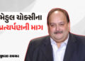 ભારતે કરી મેહુલ ચોક્સીના પ્રત્યર્પણની માગ, બેલ્જિયમ સરકારે જણાવ્યું ધરપકડનું કારણ | mehul choksi arr…