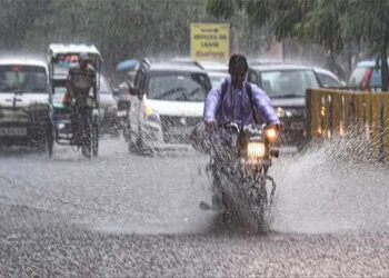 આ વર્ષે વર્ષા 105 ટકાથી વધુ થશે : અલ-નીનોની આ વર્ષે અસર નથી : કૃષિ ક્ષેત્ર માટે શુભ સમાચાર | Rainfal…