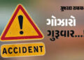 હિંમતનગર-શામળાજી હાઈવે પર પીક-અપ વાને બાઈક પર જતા દંપતીને ફંગોળ્યું, પત્નીનું મોત | gujarat accident…