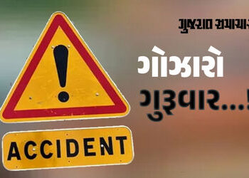 હિંમતનગર-શામળાજી હાઈવે પર પીક-અપ વાને બાઈક પર જતા દંપતીને ફંગોળ્યું, પત્નીનું મોત | gujarat accident…