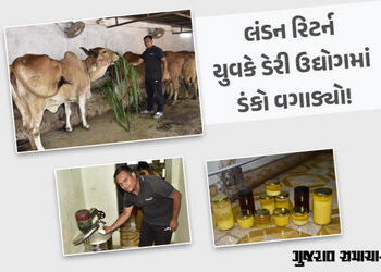 લંડનમાં MBAનો અભ્યાસ કરી ગુજરાતમાં કર્યો ગીર ગાયોનો તબેલો, વર્ષે કરે છે લાખોની કમાણી | Studying MBA …