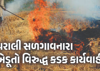 નિયમ તોડનારાની ખેર નહીં, 770 ખેડૂતોને 17 લાખનો દંડ, અનેક વિરુદ્ધ FIR | Fine Imposed On Farmers Burn …