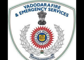 વડોદરામાં બોગસ FIRE NOC કેટલી છે,ફાયર બ્રિગેડની 12 ટીમો દ્વારા 2000 બિલ્ડિંગોનો સર્વે | 12 teams of …