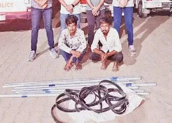 ગ્રામ્ય વિસ્તારમાં કેબલ ચોરી જતી ટોળકીના બે સાગરિત પકડાયા | Two members of a gang involved in cable …