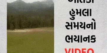 VIDEO : પહલગામના આતંકી હુમલા સમયના ભયાનક દૃશ્યો સામે આવ્યા, ચીસા-ચીસ મચી હતી | VIDEO: Horrific scene…