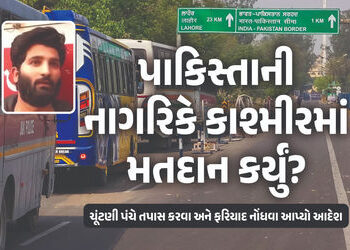 પાકિસ્તાની નાગરિકે કાશ્મીરમાં મતદાન કર્યું? Video સામે આવ્યા બાદ ચૂંટણી પંચે શરૂ કરી તપાસ | India Pa…