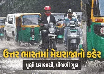 VIDEO : ઉત્તર ભારતમાં મેઘરાજાનો કહેર, દિલ્હી-NCRમાં વૃક્ષો ધરાશાયી, વીજળી ગુલ, સાત લોકોના મોત | Nort…