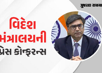 પાકિસ્તાનનું કાયરતાભર્યું કૃત્ય, 400 ડ્રોનના હુમલા સામે પેસેન્જર્સ પ્લેનને ઢાલ બનાવ્યા: ભારતીય વિદેશ મંત્રાલય