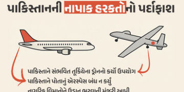 પાકિસ્તાને સંભવિત તૂર્કિયે ડ્રોનનો કર્યો ઉપયોગ, ગુપ્ત માહિતી મેળવવાનો પણ હતો ઉદ્દેશ્ય: ભારતીય વિદેશ મંત્રાલય