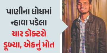 પાણીના ધોધમાં ન્હાવા પડેલા 4 ડૉક્ટરો ડૂબ્યા, 1નું મોત, 26 ડૉક્ટરોનું ગ્રૂપ મનાવવા ગયું હતું પિકનીક