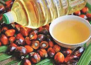 પામતેલની આયાત મે મહિનામાં 87 ટકા વધતાં છ મહિનાનો રેકોર્ડ તૂટયો | Palm oil imports surge 87% in May b…
