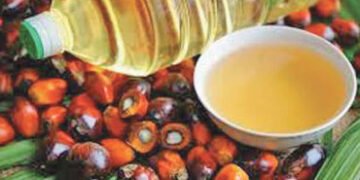 પામતેલની આયાત મે મહિનામાં 87 ટકા વધતાં છ મહિનાનો રેકોર્ડ તૂટયો | Palm oil imports surge 87% in May b…