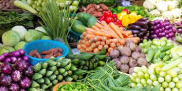 ખાદ્ય ચીજોના ભાવોમાં ઘટાડો નોંધાતા રિટેલ મોંઘવારી મેમાં ઘટી છ વર્ષના તળિયે | indias cpi inflation fa…