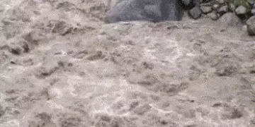 હિમાચલ પ્રદેશના ધર્મશાલામાં મોટી દુર્ઘટના, ઘોડાપૂર આવતાં 20 શ્રમિકો તણાયા, તમામના મોતની આશંકા